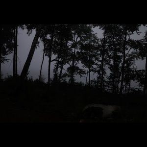 Meet your Posher, Veranika